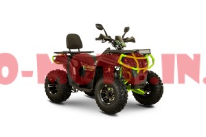 Квадроцикл Forte AFC 250 Pro